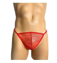 Desire in Motion Transparan Tül Fantezi Erkek Külot String (Kırmızı)