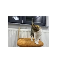 Yumuşak peluş kedi yatağı, sıcak ve konforlu petek ısıtıcı yatak