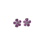 Viola 925 Ayar Gümüş Küpe - pembe