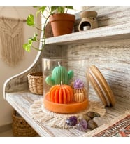 Mumelia Candles Botanik Esinti - Doğal Soya Cam Kavanoz Tasarım Mum