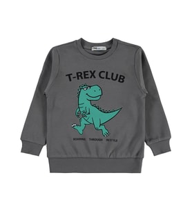 Civil Boys Trex Club Baskılı 2-5 Yaş Sweatshirt Km - Gri