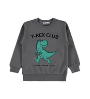 Civil Boys Trex Club Baskılı 2-5 Yaş Sweatshirt Km - Gri
