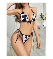 Arias Closet Dalmaçyalı Fantezi Sütyen Külot Takım