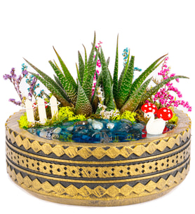 Ring Serisi Göl Kenarında Haworthia Teraryum