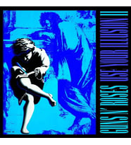 Guns N' Roses Use Your Illusion II Plak (Remastered)