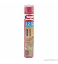 BİGPOİNT BP 941 Metal Tüp Tam Boy Kuru Boya (12 Renk)