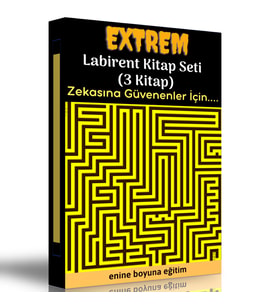Extrem Labirent Kitap Seti (3 Fasikül Kitap)