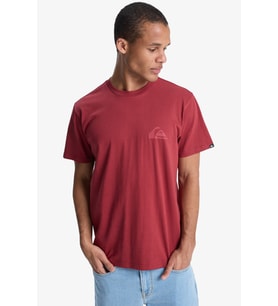 Quiksilver Ev Mini Logo Erkek Tişört