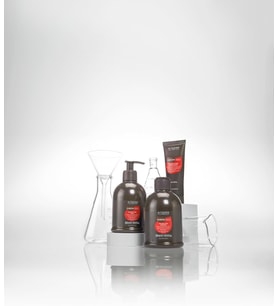 ALTER EGO Chromego Color Care Mask 300 ml Saç Maskesi