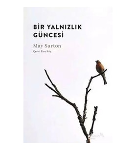 Bir Yalnızlık Güncesi
