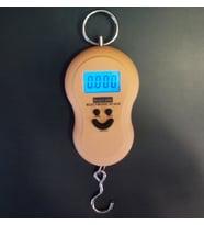 TAŞINABİLİR ELEKTRONİK TERAZİ - EL TARTISI