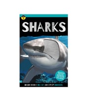 Early Readers Sharks Make Believe Ideas
