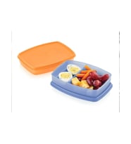TUPPERWARE BENTO BÖLMELİ BESLENME KUTUSU 2'Lİ