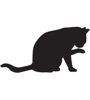 KEDİ FOLYO STİCKER 60cm Uzunluk