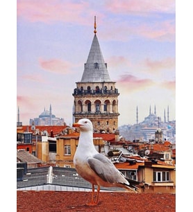Galata Sayılarla Boyama Seti 40x50 cm (Tuvale Gerili)