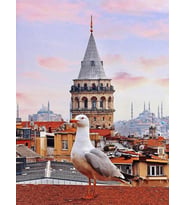 Galata Sayılarla Boyama Seti 40x50 cm (Tuvale Gerili)