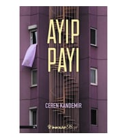 Ayıp Payı