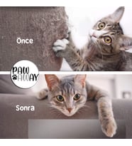 KEDİ EĞİTİM BANDI TEKYÜZ YAPIŞKANLI TIRMALAMA CAYDIRICI KOLTUK MOBİLYA KORUYUCU ŞEFFAF 25 x 45 cm 4 ADET