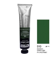 Bigpoint Yağlı Boya 200 ml Hooker's Green Light 510