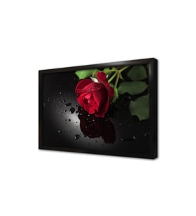 Siyah Fon Üzerinde Kırmızı Gül Çerçeveli Mdf Tablo