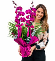 Özel Tasarım Çift Dallı Mor Orkide Fenix ve Okaliptus Yapraklı Phalaenopsis