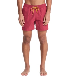 Quiksilver Everyday 15 Erkek Deniz Şortu
