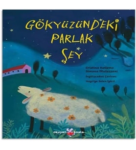 Gökyüzündeki Parlak Şey
