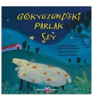 Gökyüzündeki Parlak Şey