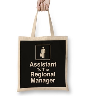 The Office Assistant To The Regional Manager 01 Bez Çanta Uzun Saplı