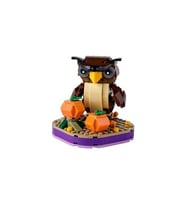 LEGO Seasonal 40497 Halloween Owl