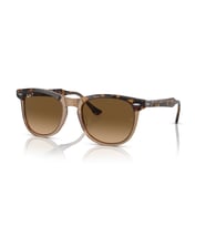 RB 2398 1292M2 53 Ray-Ban EAGLE EYE Polarize Güneş Gözlüğü