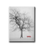 Kış Canvas Tablo MİND743