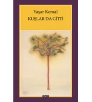 Kuşlar da Gitti