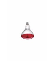250w E27 Infrared Ampul Kırmızı Işık (Beyaz)