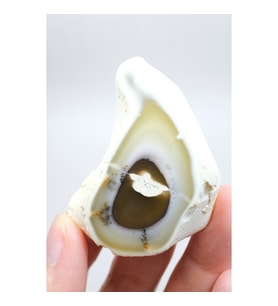 Dendritik Opal Dilimi Amber Merlinite ile Halkalı İçerikler, 152g