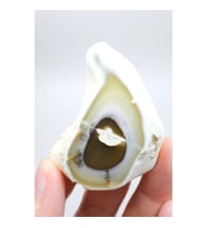 Dendritik Opal Dilimi Amber Merlinite ile Halkalı İçerikler, 152g
