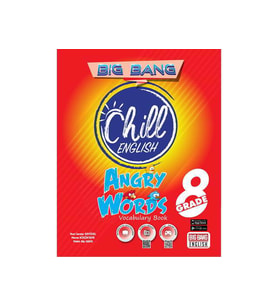 BIG BANG 8. SINIF CHILL ENGLISH ANGRY WORDS VOCABULARY BOOK