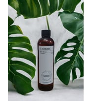 Pro Mac  Regulus  Koku Makİnasi-Dİffuser  Esans Yaği 250 Ml. Her Makİnaya Uygun