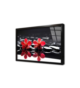 Spa Taşları ve Orkide Çerçeveli Cam Tablo