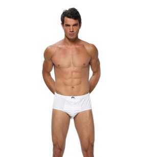 Gümüş Erkek Pamuklu Slip Külot 3006 - 6 Adet (Beyaz)