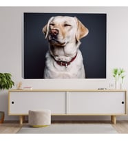 Sevimli Beyaz Köpek Dekoratif Kanvas Tablo