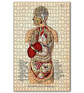 Cakapuzzle İnsan Vücudu Haritası Eski Puzzle Yapboz MDF (Ahşap) (120 Parça)