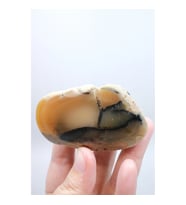 Bal Rengi Dendritik Opal Cilalı Koyu Kahverengi Dendritik Opal ile Siyah İçerikler, 86g