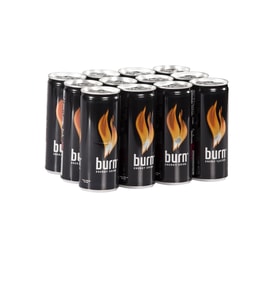 Burn Enerji İçeceği 250 ml 12'li