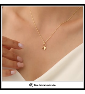925 Ayar Gümüş Minimal Arı Kolye