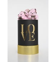 Love Silindir Kutuda Peluş Pembe Ayıcıklar ve Kalp