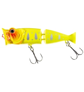 Jaxon Atract Jointed Popper 8cm Maket Balık Renk:H