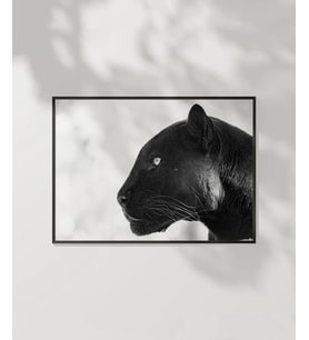 Panter Portresi Poster