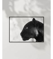 Panter Portresi Poster (Çok Renkli)