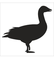 ÖRDEK FOLYO STİCKER 60cm Uzunluk (Karışık)